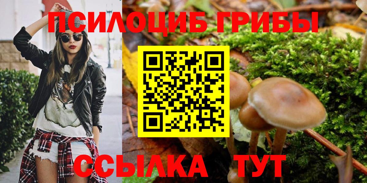 Псилоцибиновые грибы Psilocybe  Вход с VPN  Тихорецк 